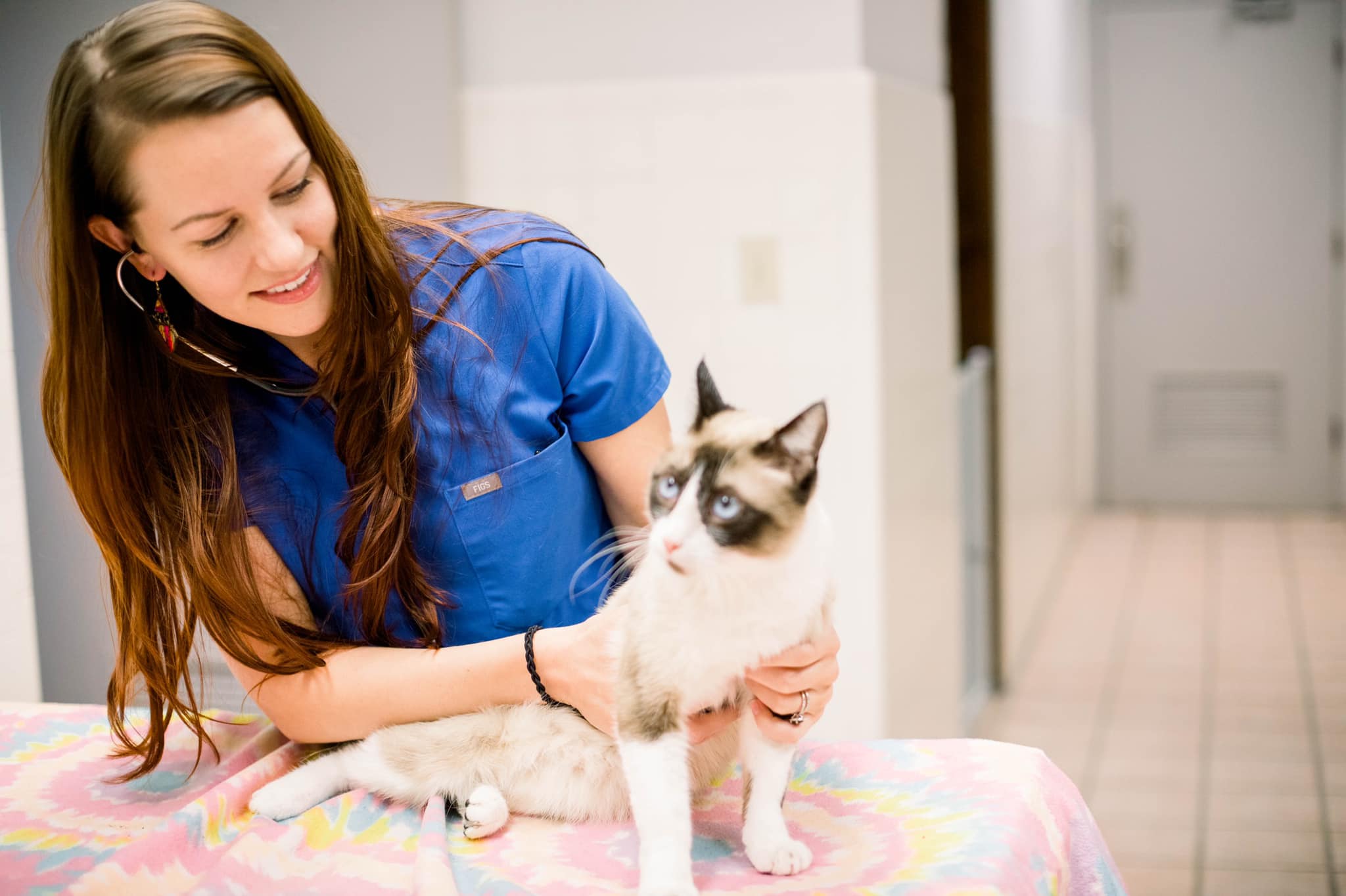 gulf breeze veterinarian with cat